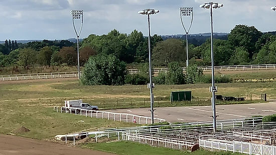 Chelmsford Racecourse Gallop 18/08/2020